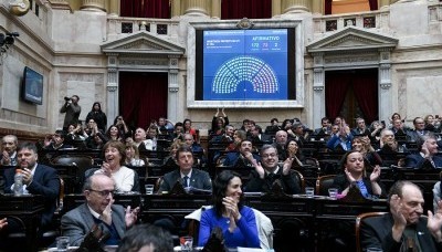 Diputados aprobó el rechazo al veto de Milei a la emergencia en Discapacidad