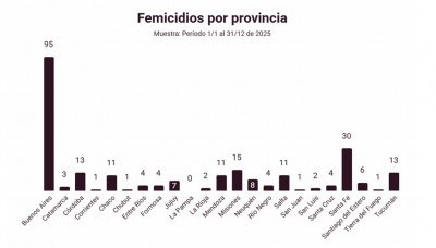 La Defensoría del Pueblo de la Nación registró 247 femicidios en 2025